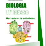 foto de capa de Livro de Biologia 11ª Classe (Caderno de Atividades) PDF