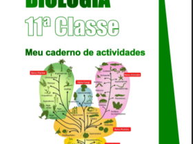 foto de capa de Livro de Biologia 11ª Classe (Caderno de Atividades) PDF