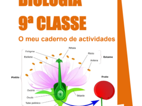 foto de capa de Livro de Biologia 9ª Classe (Caderno de Actividades) PDF